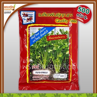 เมล็ดพันธุ์ขึ้นฉ่าย คื่นฉ่ายต้นขาว กรองทอง (500 กรัม) เมล็ดคื่นฉ่ายปลาทอง เมล็ดพันธุ์ผักสวนครัว ตราปลาทอง