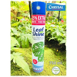 🔥มาใหม่🔥 Chrysal Leaf Shine คริสซอล สเปรย์ฉีดใบมัน ขนาด 750 ml. (Extra 25%)  เคลือบเงาใบ สวยงาม ไม้ใบ ไม้ประดับ เงางาม