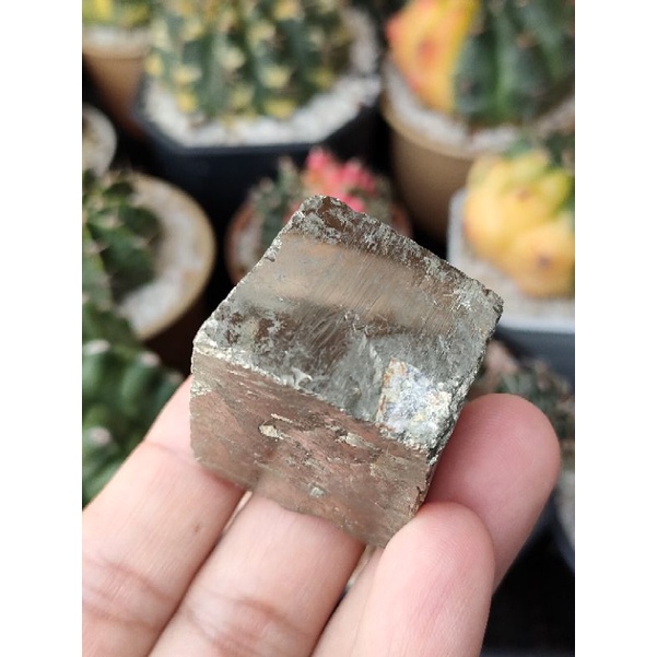 🍁เเร่ไพไรต์ จากเปรู ทรงลูกบาศ์ก สี่เหลี่ยม ( Pyrite Cube from Peru )✨📽️ มี VDO ให้ชมใต้โพสครับ🔖👑 น้ำ