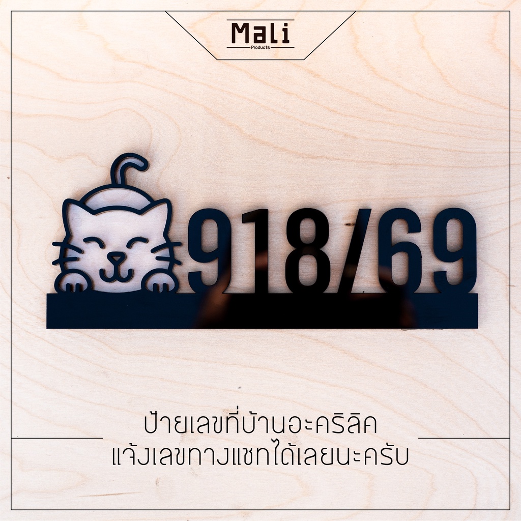 ป้ายบ้านเลขที่ อะคริลิคโมเดิร์น รูปน้องแมว ตัดตัวเลขตามสั่งพร้อมส่งทุกวันแจ้งเลขทางแชท