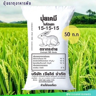 ปุ๋ยสูตร 15-15-15 ตรากระต่าย(รัสเซีย) 50 ก.ก.เม็ดสีชมพู ละลายง่าย เหมาะกับพืชทุกชนิด ทั้ง นาข้าว พืชไร่ และ พืชสวน