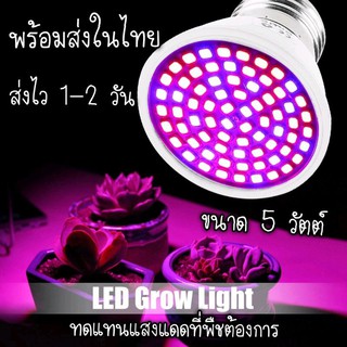 พร้อมส่งในไทย หลอดไฟปลูกต้นไม้ 72 และ 80 LED Grow Light (Full Spectrum) 5 W