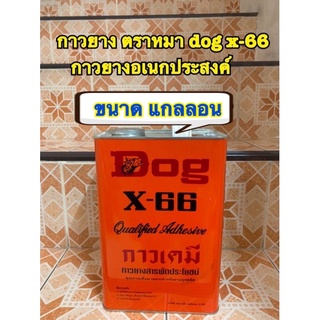 กาวยาง ตราหมา dog x-66 แกลลอน ราคาถูก กาวยางอเนกประสงค์