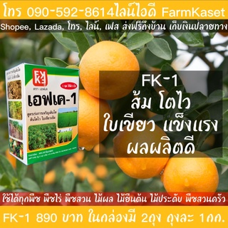 ปุ๋ยสำหรับส้ม การปลูกส้ม ปุ๋ยน้ำเร่งผลผลิตส้ม ฉีดพ่น FK-1  มี N-P-K, Mg, Zn และสารจับใบ