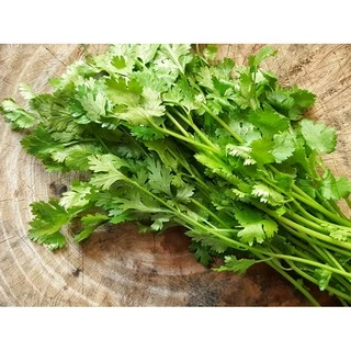 เมล็ด ผักชี ผักพื้นบ้าน เมล็ดผัก ผักสวนครัว ราคาถูก 10 บาท Coriander