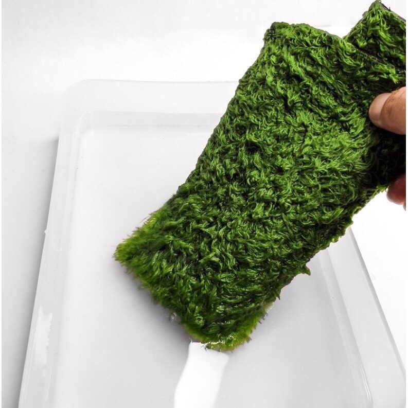 DH Moss Mat มอสเทียม พื้นสำหรับกบ สัตว์เลื้อยคลาน มีหลายขนาดให้เลือก - รูปที่ 3