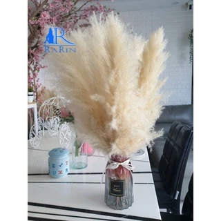 🔖Sale🔖ดอกเลา🌾สีขาวทอง ต้นฤดู ขนาด 30-100 cm.แต่งร้าน งานแต่งาน DIY เป็นดอกไม้ธรรมชาติ พร๊อพถ่ายรูป