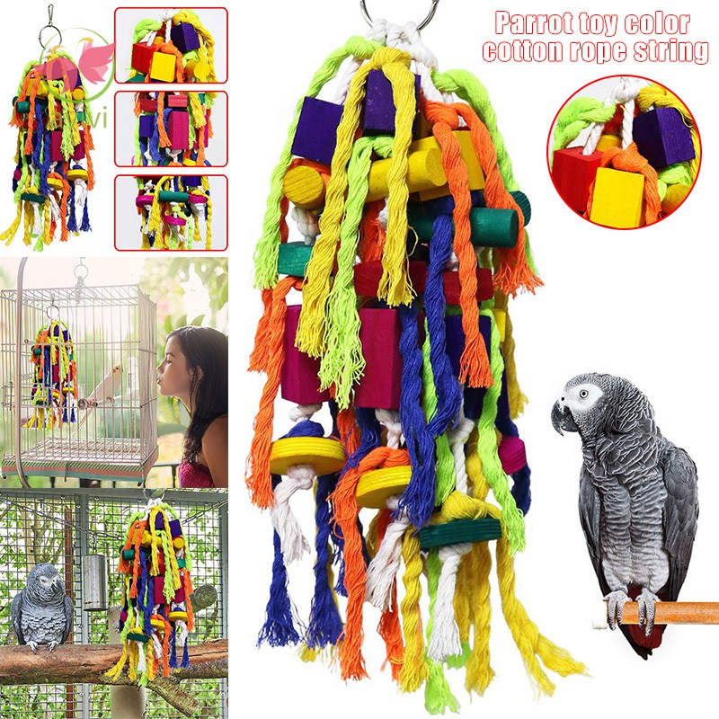 Beautiful view of Parrot Mini Cage With Debrief Toys