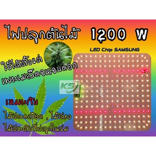 ไฟปลูกต้นไม้  Full Spectrum LED Grow Light (1200W / 650W) มีสวิตช์ ให้แสงธรรมชาติ ช่วยให้ต้นไม้โตเร็วแข็งแรง