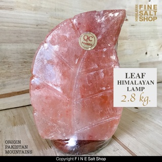 โคมเกลือ หิมาลายัน ทรงใบไม้ ฐานไม้ Himalayan Salt lamp Leaf lamp wooden base 2.685 kg.