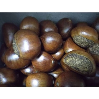 เกาลัดครัว (เกาลักญี่ปุ่น) พร้อมทาน เม็ดใหญ่หวานมันอร่อยแบบธรรมชาติ จากเยาวราช(นำหนัก 500 กรัม 1000 กรัม)
