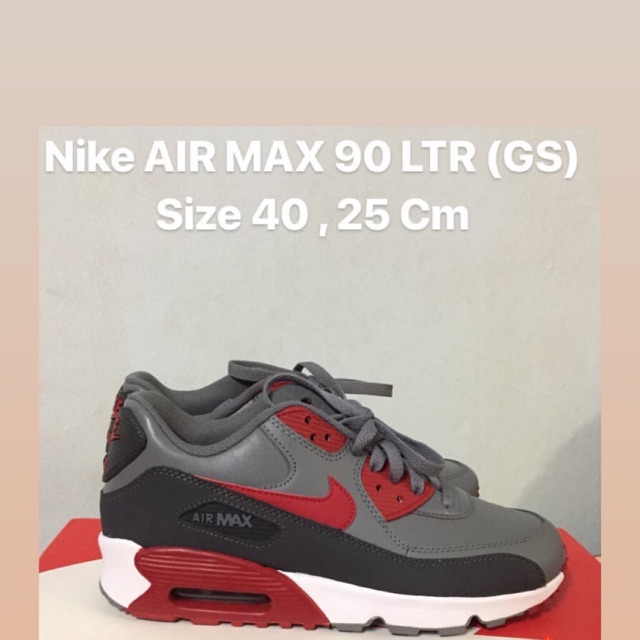 Nike Air Max 90 LTR(GS)