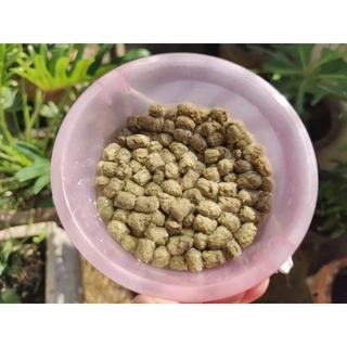 เข้าใหม่ 15/8/69 Pro-Reptiles สูตร Premium ขนาด 500 กรัม, 1 กิโลกรัม มีโค้ดส่วนลด มีของแถมทุกออเดอร์🐢