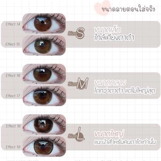💥[ แถมตลับ Food grade ] Olivia (Brown) ค่าสายตา 0.00-10.00 คอนแทคเลนส์