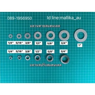 แหวนอีแปะ แหวนรองน็อต แหวนสปริง สแตนเลส ขนาด 1/4" - 5/8"
