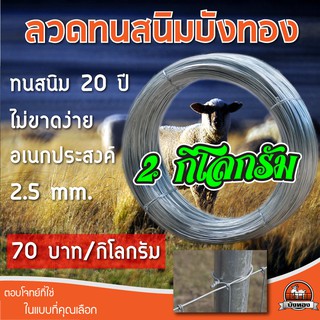 ลวดทนสนิม 2kg. ขนาดเส้นลวด 2.5mm. ลวดขาว ลวดชุปกัลวาไนซ์ อเนกประสงค์ สำหรับรัดรั้วตาข่ายกับเสา รั้วตาข่าย