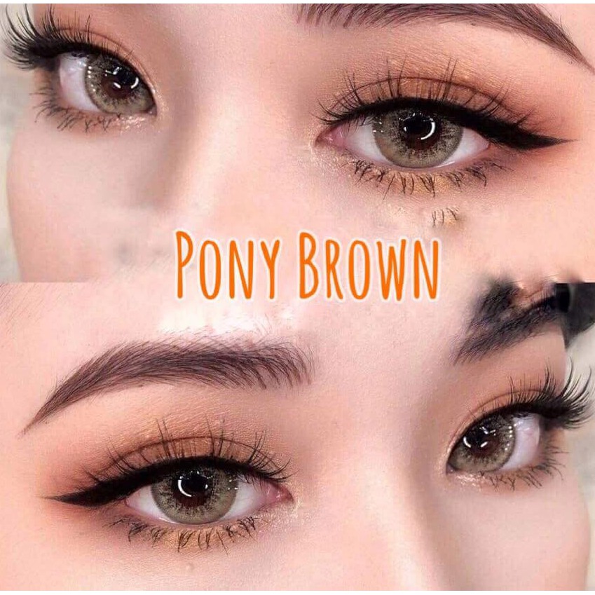 pretty doll pony brown