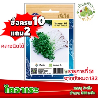 (ซื้อ10แถม2) เมล็ดพันธุ์ ไควาเระ Radish sprout ประมาณ 300เมล็ด เจียไต๋ เมล็ดพันธุ์พืช เมล็ดพันธุ์ผัก เมล็ดผัก เม็ดผัก