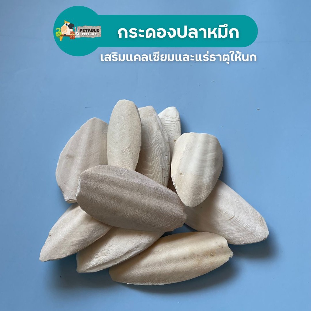 PetAble กระดองปลาหมึก แคลเซียมนก ช่วยให้กระดูกแข็งแรง มีที่แขวนกับกรง วัสดุธรรมชาติไม่อันตราย ของเล่นนก นกแทะ อาหารนก