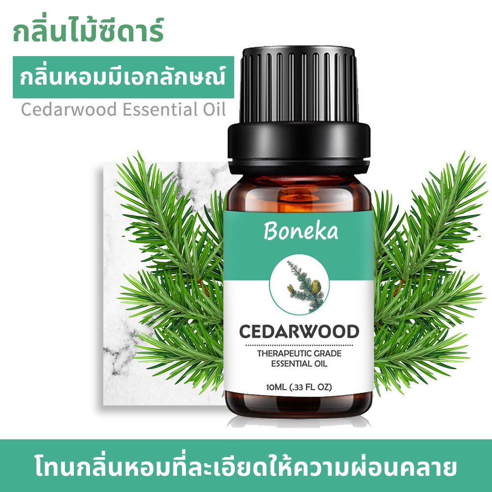 น้ำมันหอมระเหยไม้ซีดาร์ Cedar wood Essential Oil 100% ขนาด 10 ml