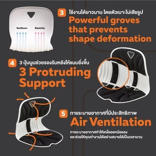 Ergotrend เบาะรองนั่งปรับท่านั่งรุ่นคอมบิ Combi-Chair Sitting Posture Support