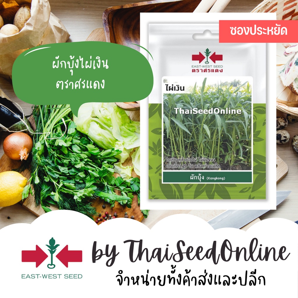 ศรแดง VP3 ซฟ เมล็ดพันธุ์ ผักบุ้งจีนใบไผ่ ไผ่เงิน 300เมล็ด ตราศรแดง ซอง 10บาท ผักบุ้งเรียวไผ่ Morning Glory