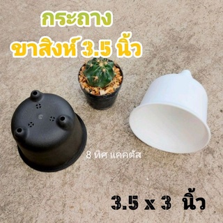 กระถาง ขาสิงห์ กลาง // กด 12 ใบ 150 บาท -- กระถาง 3.5 นิ้ว -- กระถางพลาสติก แคคตัส กระบองเพชร