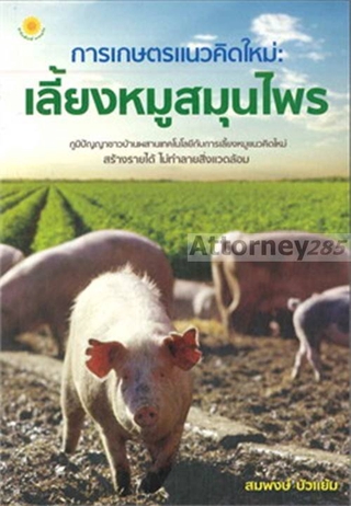 การเกษตรแนวคิดใหม่ : เลี้ยงหมูสมุนไพร