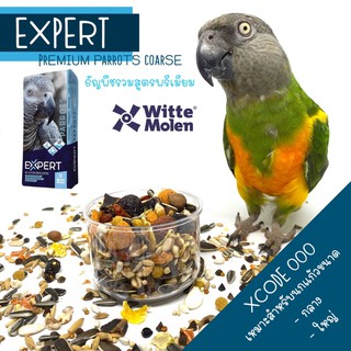 Expert Premium Parrots อาหารนกสูตรพรีเมียม ธัญพืชรวมสูตรพรีเมียม สำหรับนกขนาดกลาง-ใหญ่