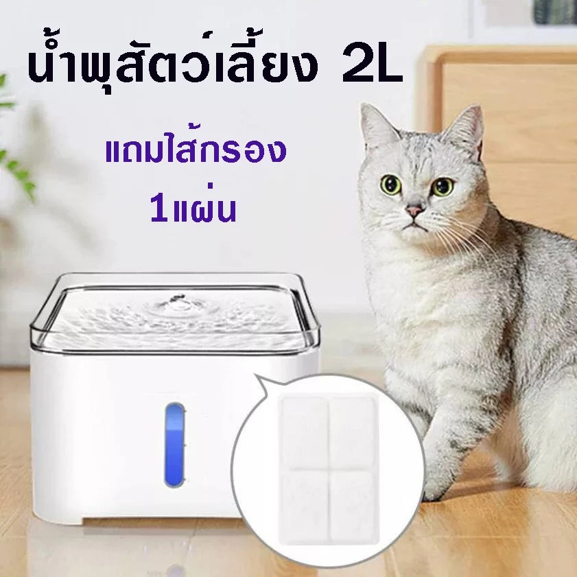 (เกรดA วัสดุคุณภาพสูง) น้ำพุแมว น้ำพุสัตว์เลี้ยง ถังน้ำสัตว์เลี้ยง ถังให้น้ำสัตว์เลี้ยง แบบไฟฟ้าน้ำพุแมวเสียวมี