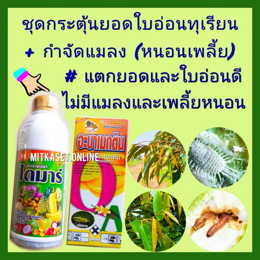 ชุด กระตุ้นยอดใบอ่อนทุเรียน กำจัดหนอนเพลี้ย ยาฆ่าหนอน ยาฆ่าเพลี้ย ไดมาร์ 1ลิตร+ อะบาเมกติน 1ลิตรสูตรพิเศษ หนอนตายดี