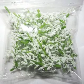 ดอกแซม ดอกข้าวฟ่าง (หัวดอก)​