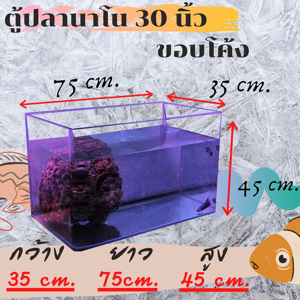 My Image 31