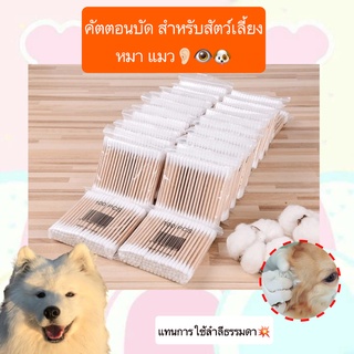 AL-391 คอตตอนบัด ไม้แคะหู สำหรับสัตว์เลี้ยง หมา แมว ที่ปั่นหู ไม้ปั่นหูแมว สุนัข ราคาถูก พร้อมส่ง🐈🐶