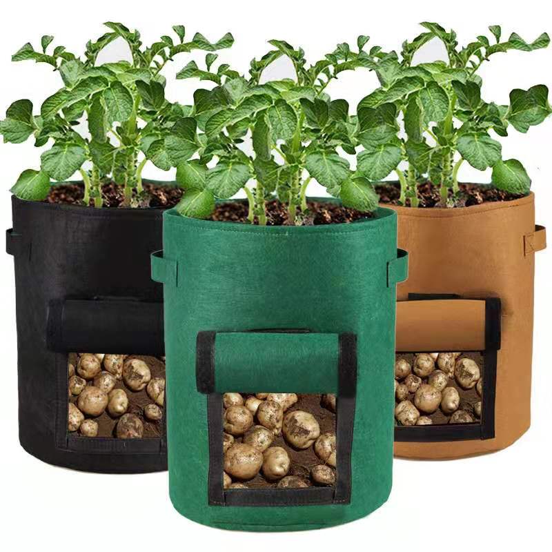 Smart Pot Potato Plant Grow Bags ถุงปลูกต้นไม้แบบผ้า  5/7/10 แกลลอน Fabric  Pot
