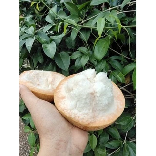กระท้อนปุยฝ้าย (ตอนนี้สวนเชียงใหม่)อมเปรี้ยว50% อมหวาน50% เนื้อฟู เลือกขนาดไซด์ได้