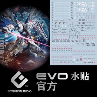 ดีคอลน้ำ EVO DECAL MG FREEDOM 2.0