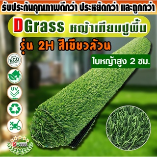 หญ้าเทียม ปูพื้น Dgrass ตกแต่งสวน สีเขียวล้วน ความสูง 2 ซม. รุ่น DG-2-HALLSTALT (2H เขียวล้วน)