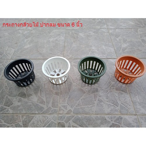 กระถางกล้วยไม้ ทรงกลม (ราคาต่อ 5 ใบ)