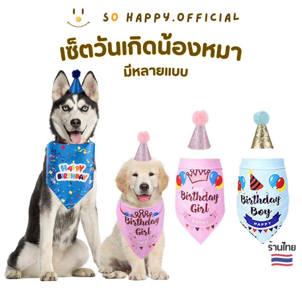 พร้อมส่ง🇹🇭 ผ้าพันคอวันเกิดสัตว์เลี้ยง พร้อมหมวก สำหรับสุนัขใหญ่ / แมว หมวกวันเกิดสัตว์เลี้ยง
