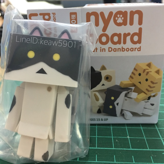 Danboard cat พร้อมส่งฟรี ลทบ.