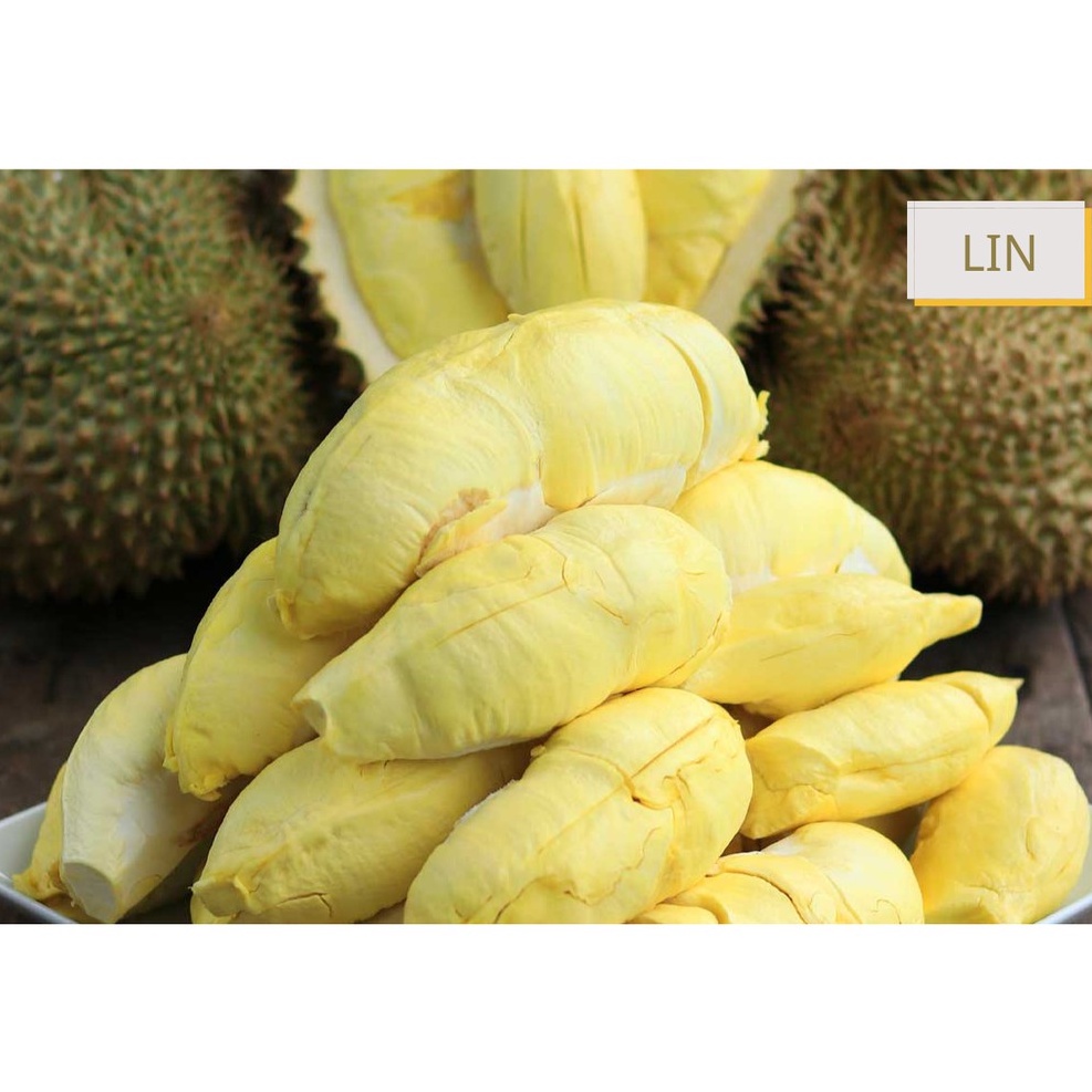 รายการ 97+ ภาพ ราคา ทุเรียน หมอนทอง ตลาด หลังสวน สวยมาก