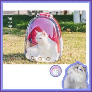 MILLY HOUSE♥ Pet Transparent Travel Bag อย่างดีกระเป๋าอวกาศสัตว์เลี้ยงสะพายหลัง ใส่แมว