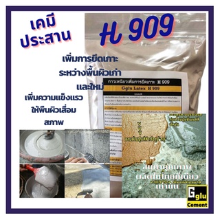 กลู(gglu) H909 เคมีประสาน ระหว่างพื้นผิวเก่าก้บพื้นผิวใหม่ ขนาด 0.50 กก. เพิ่มความแข็งแกร่งให้พื้นผิวเก่า