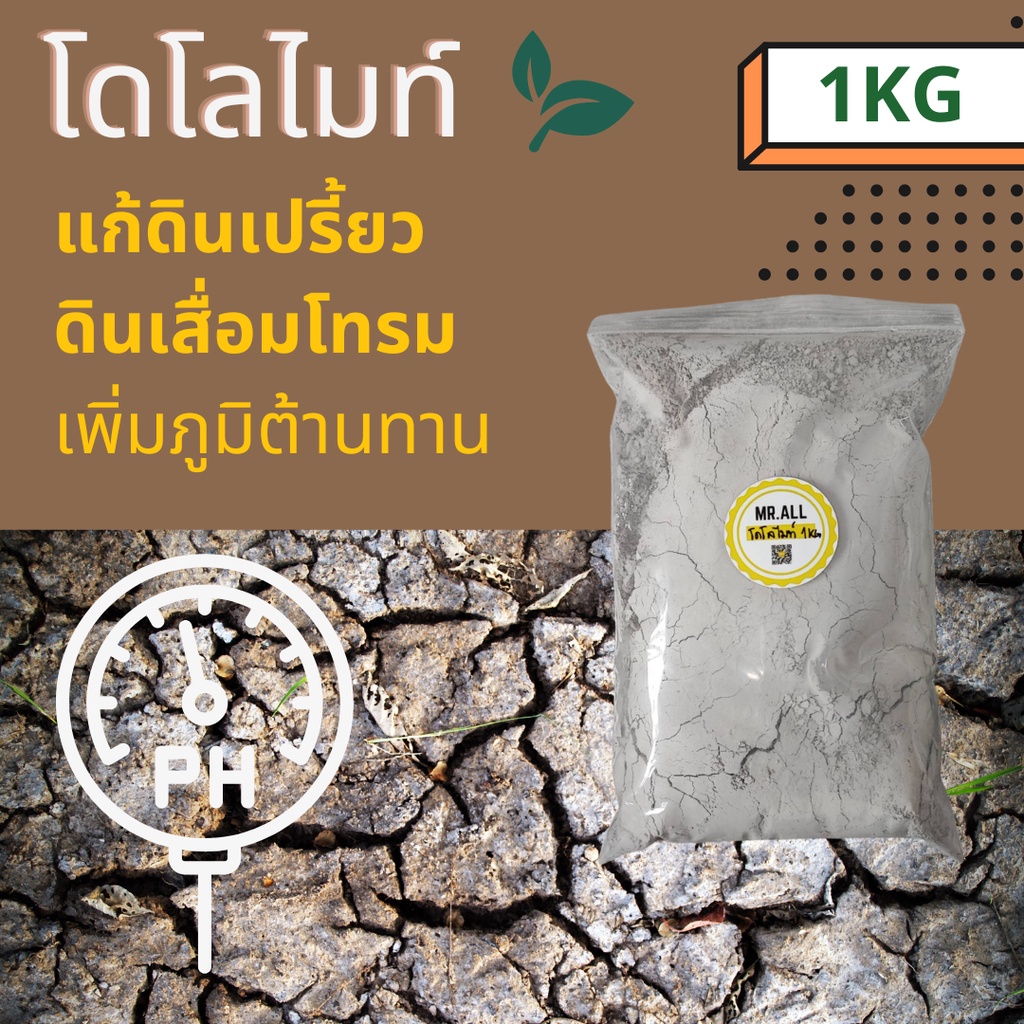 โดโลไมท์ ผงแร่ธรรมชาติจากหินภูเขา ลดค่ากรดในดิน สำหรับพืช DOLOMITE for plants 1kg.
