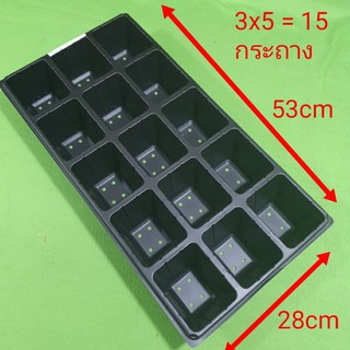 ถาดหลุม ถาดเพาะชำ ถาดเพาะเมล็ด ขนาด 15 หลุม 21 หลุม 32 หลุม Seedling tray  Seeding tray size 15 holes, 21 holes 32 holes