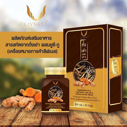 Donutt Livnest Cordycept Extract Plus UC-II อาหารเสริมถั่งเช่าผสมยูซีทู ขมิ้นชัน คอลลาเจน ไทพ์ ทู