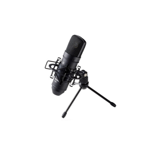 Tascam TM-80 Studio Condenser Microphone (ProPlugin)