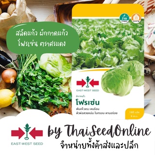 GGEW เมล็ดพันธุ์ ผักกาดหอม ผักกาดแก้ว สลัดแก้ว โฟรเซ่น 160เมล็ด ตราศรแดง Crispy Lettuce