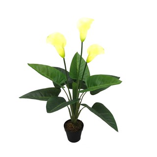 Artificial tree YELLOW CALLA LILY POTTED 72 CM. Garden accessories Garden decoration accessories ต้นไม้ประดิษฐ์ ต้นคาลล่